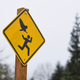 Illustration for article titled Citys Owl Problem Got So Bad, It Had To Make This Awesome Sign